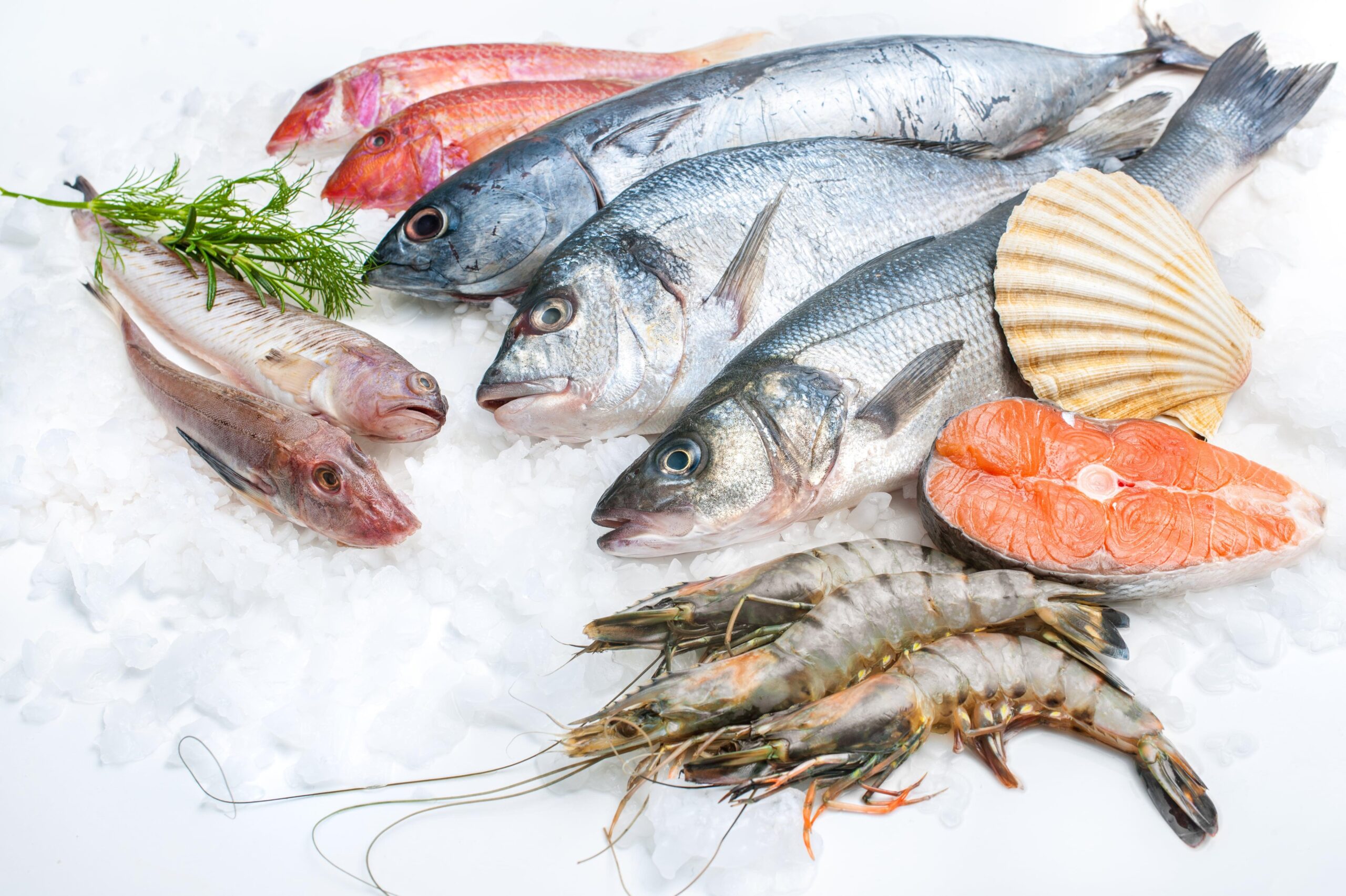 Иранские морепродукты